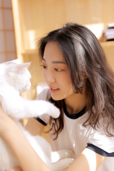 连发程序威盘